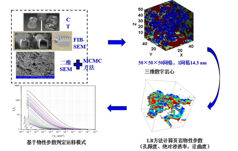 基于数字岩心的气体运移模式判定方法页岩气藏和致密气藏储层中孔隙